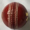 Cricket balls