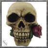 ROMANCE NEVER DIES ROSE SKULL