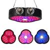 Kaisiidi 1200W LED Grow Light Adjustable Full Spectrum Growing Lamps Double Chips for Indoor Greenhouse Fruits Plants Veg and Flowers