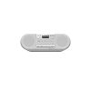 Panasonic Portable Speaker