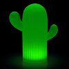 Cactus Outdoor Light